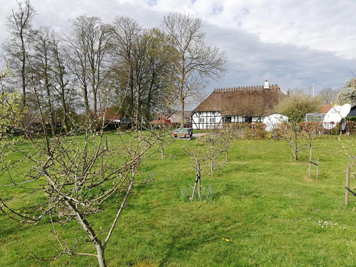 Baekgaarden B&B Lyndelse Kültér fotó