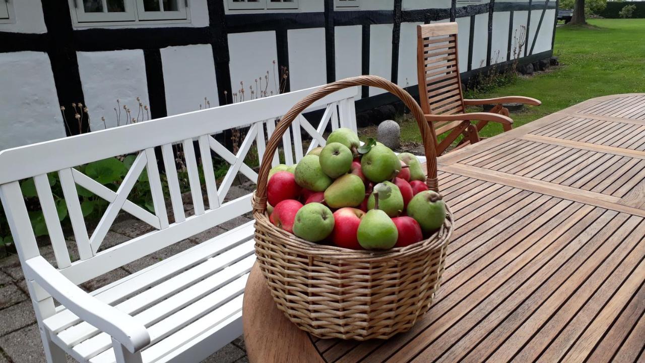 Baekgaarden B&B Lyndelse Kültér fotó