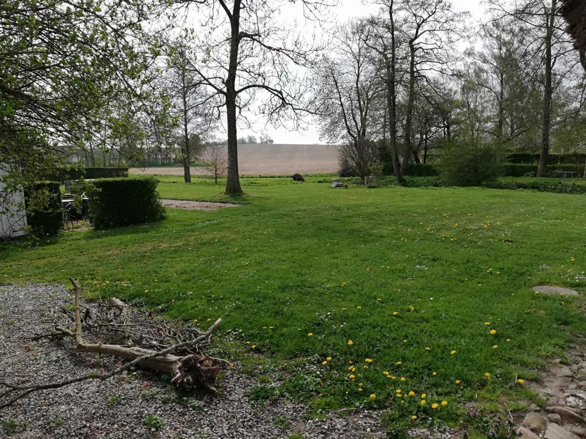 Baekgaarden B&B Lyndelse Kültér fotó